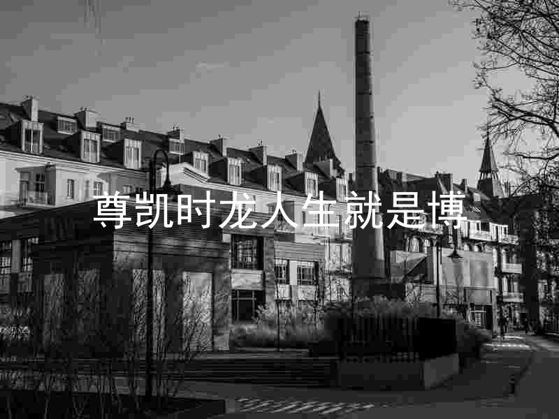尊凯时龙人生就是博