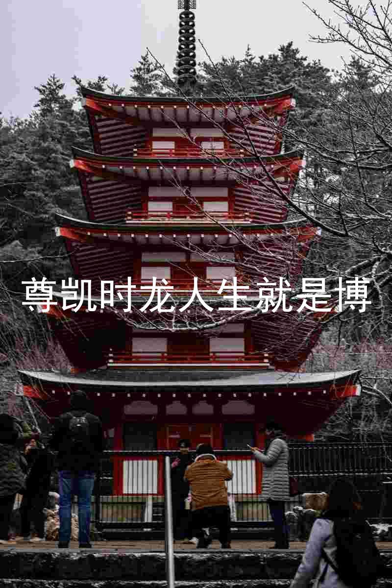 尊凯时龙人生就是博