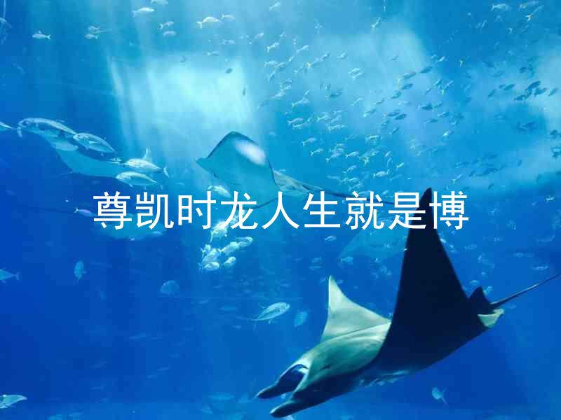 尊凯时龙人生就是博