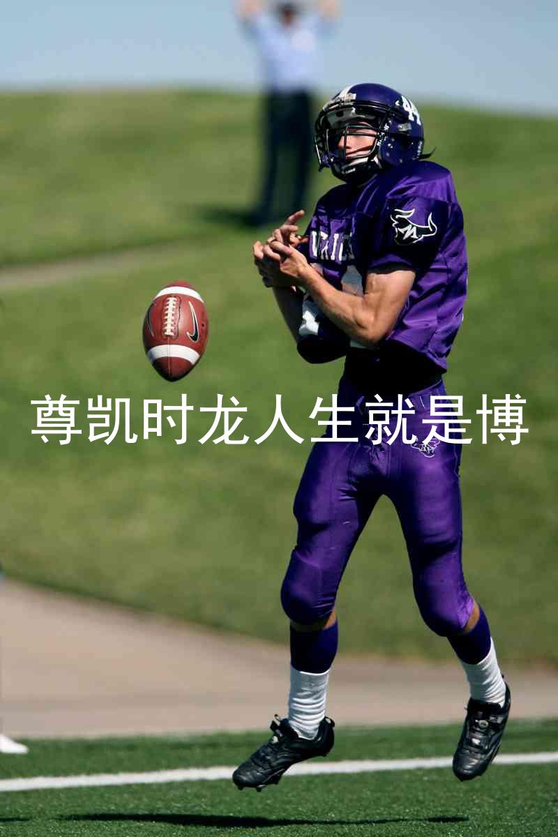 尊凯时龙人生就是博